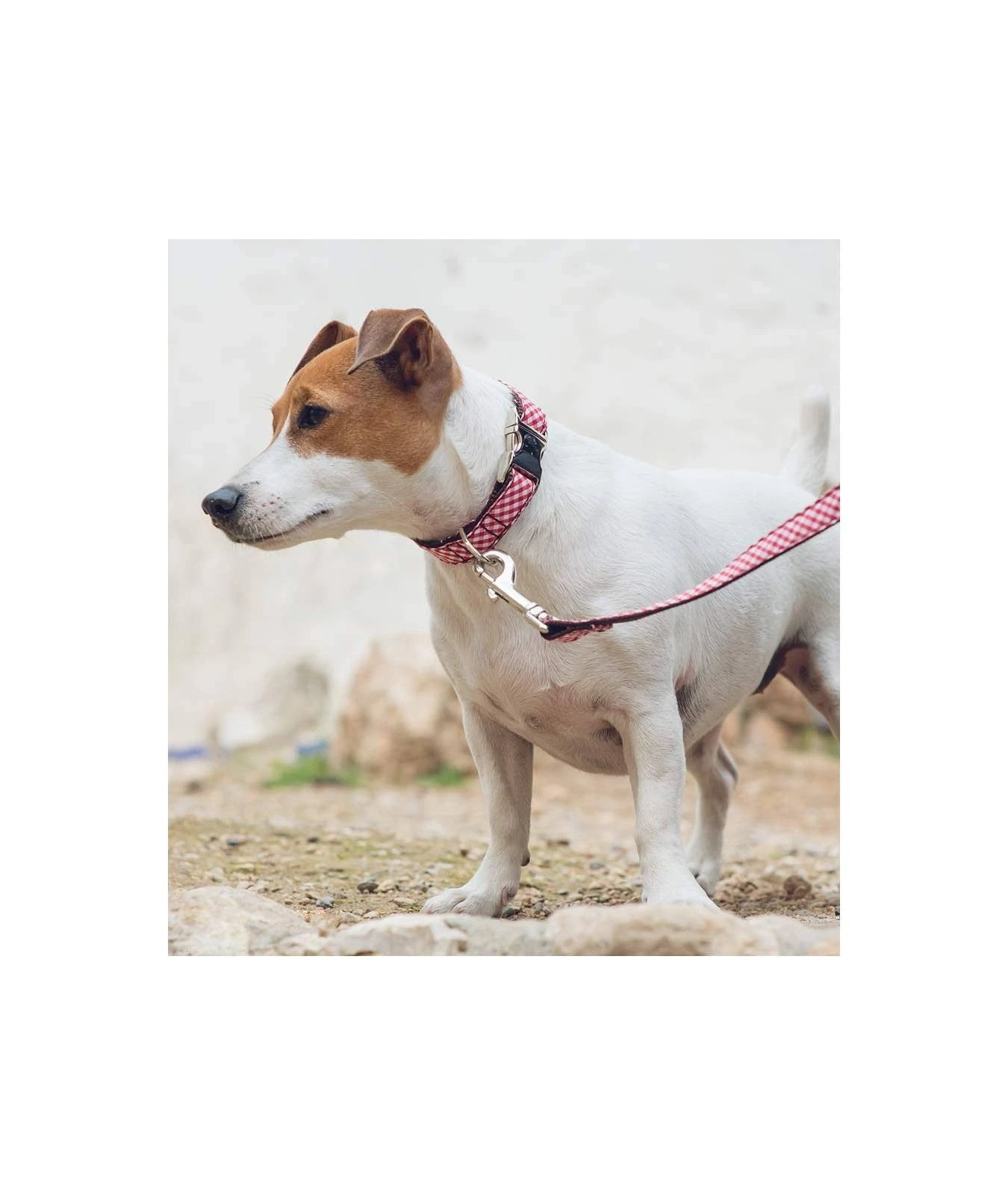 Laisse Pour Chien Vichy Rouge Maians 2 Laisse Pour Chien Vichy Rouge Maians – Image 2