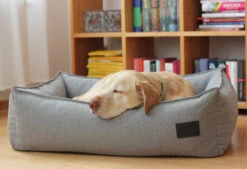 Panier Pour Chien Nube -Hariet & Rosie mc 17062 beds boxbed nube saltpepper m cara