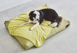 Coussin Pour Chien Divo -Hariet & Rosie mc c01 012 04 m sleep divo cushion mustard momo 1 678