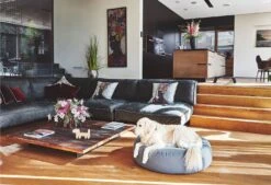 Pouf Pour Chien Stella -Hariet & Rosie mc c01 015 02 ml sleep stella pouffe slate fly 132