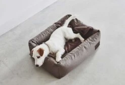 Panier Pour Chien Divo -Hariet & Rosie mc c02 008 03 s sleep divo boxbed mocca duke 5 185