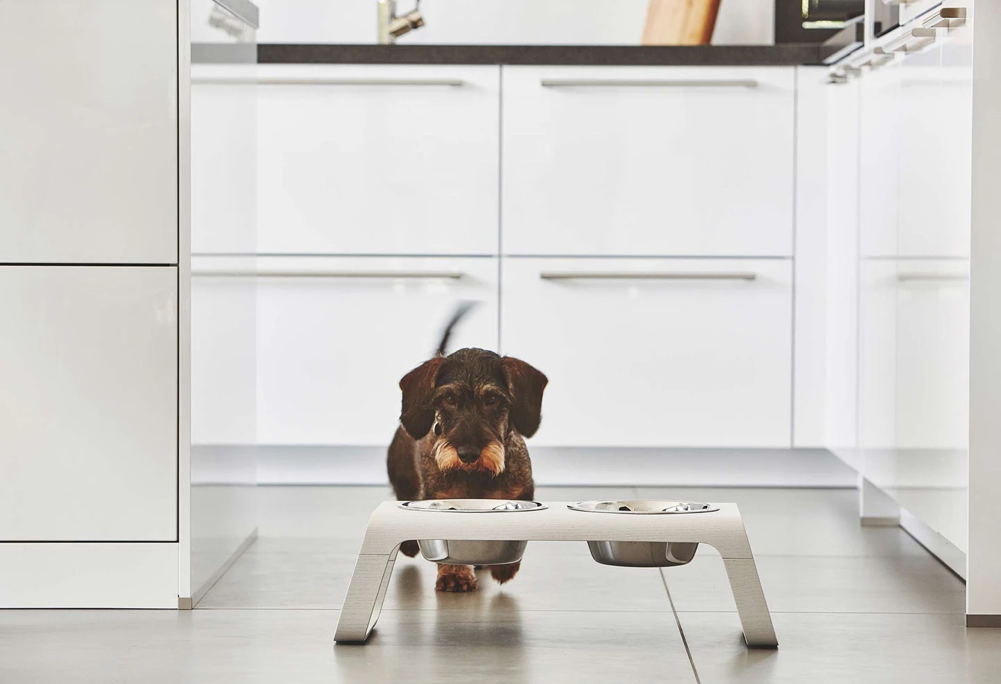 Double écuelle Surélevée Design Pour Chien Desco Bois 5 Double écuelle Surélevée Design Pour Chien Desco Bois – Image 5