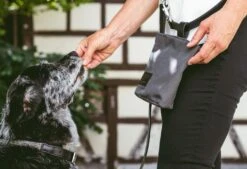 Sac à Récompenses Lupo Miacara -Hariet & Rosie mc c13 006 01 accessories lupo snack bag graphite 6