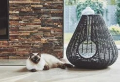 Maison Pour Chat Perla -Hariet & Rosie mc g02 010 02 sleep perla anthracite mio 343 984