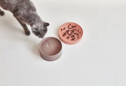 Bol En Porcelaine Pour Chat Fresco -Hariet & Rosie mc g06 007 02 g06 008 02 eat piatto fresco berry mia 1267 984