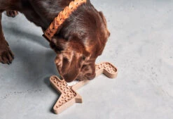 Jeu D'activité Volpe 9 Jeu D'activité Volpe -Hariet & Rosie mc volpe nude2