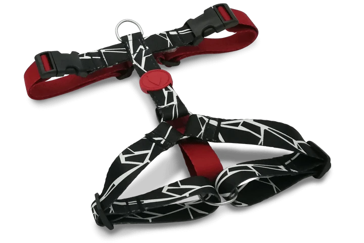 Harnais En H Pour Chien Broken Self 1 Harnais En H Pour Chien Broken Self