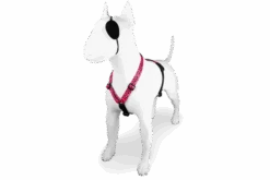 Harnais En H Pour Chien Bubble Leo -Hariet & Rosie pettorina h bubble leo header top transparent c