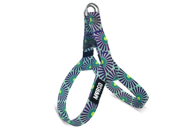 Harnais Pour Mini Chien – Image 2