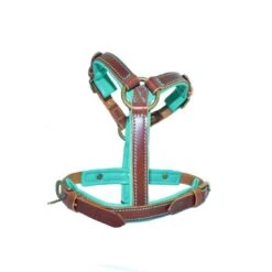 Harnais En Cuir Turquoise Rock Dog Dwam -Hariet & Rosie rock dog harness xxs 6047 en G