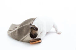 Couverture En Laine Recyclée Ansel Duepuntootto -Hariet & Rosie s768842417857699996 p35 i8 w1200