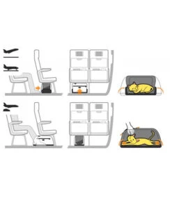 Sac De Transport Pour Chien/chat Spécial Avion 18 Sac De Transport Pour Chien/chat Spécial Avion -Hariet & Rosie sleepypod air bb2741e3 b99f 4b96 9dd2 1a5829422a9a