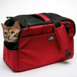 Sac De Transport Pour Chats Et Petits Chien Atom -Hariet & Rosie sleepypod atom dog carrier strawberry red 11 800x 01727aaa cefb 4a1e 89aa 64453246d781