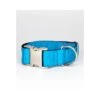 Collier Pour Chien Solid Turquoise