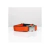 Collier Pour Chien Solid Orange