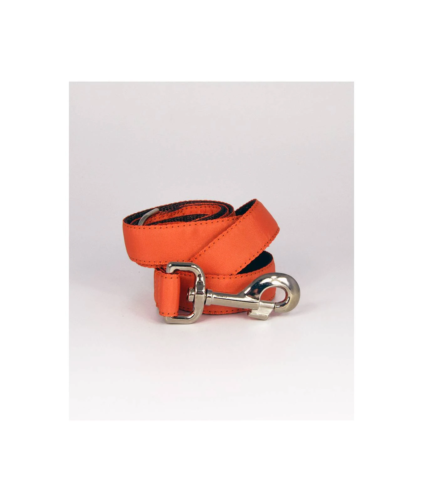 Laisse Pour Chien Solid Orange 1 Laisse Pour Chien Solid Orange