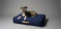 Coussin Pour Chien De Style Nordique -Hariet & Rosie stockholm b3f9bbe7 8c65 48e5 be7d 9509769ebeb9