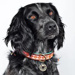 Collier En Cuir Et Perles Sweet Mae Dwam 11 Collier En Cuir Et Perles Sweet Mae Dwam -Hariet & Rosie sweet mae 2 5 cm collar m 6368 en G