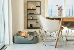 Lit Douillet Pour Chien Velluto 9 Lit Douillet Pour Chien Velluto -Hariet & Rosie velluto bildergalerie