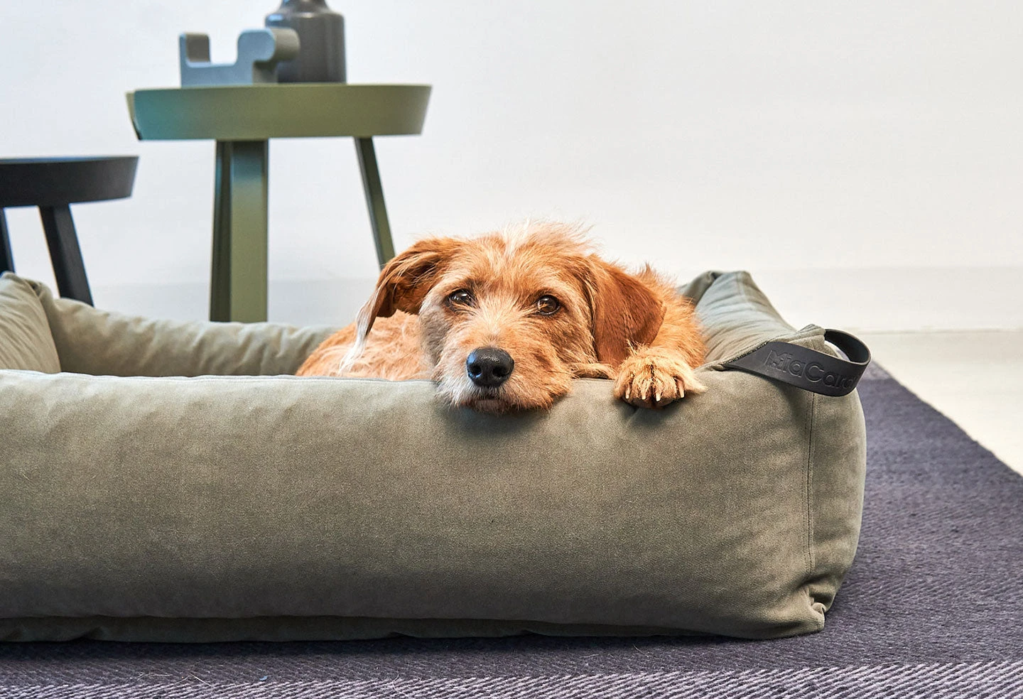 Lit Douillet Pour Chien Velluto 6 Lit Douillet Pour Chien Velluto – Image 6