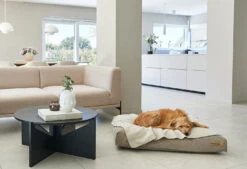 Coussin Relaxant Pour Chien Velluto 10 Coussin Relaxant Pour Chien Velluto -Hariet & Rosie velluto cushion galerie